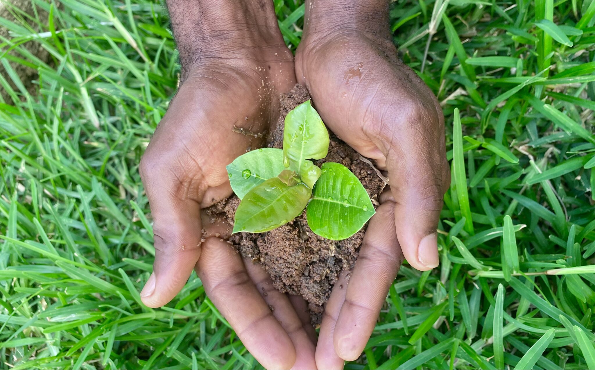 Environment and earth photo