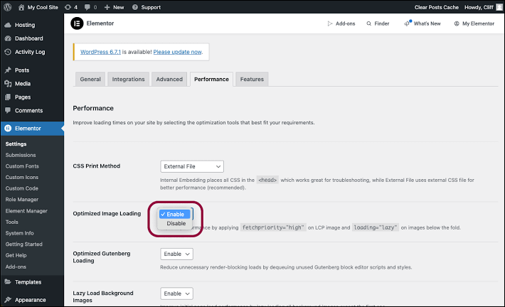 Screenshot showing built-in performance feature on Elementor 