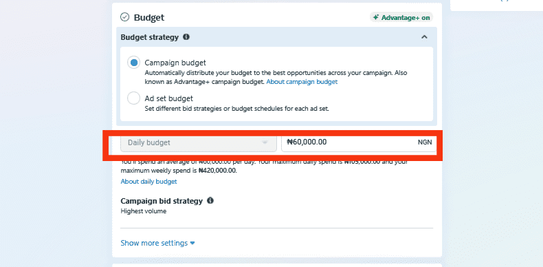 A screenshot of facebook ads budget section