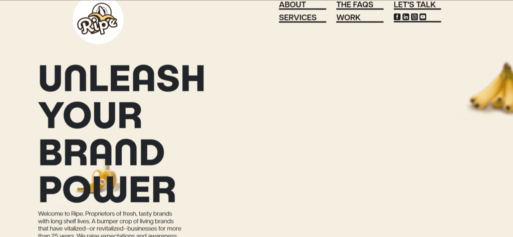 Top 7 Web Design Companies in New Mexico