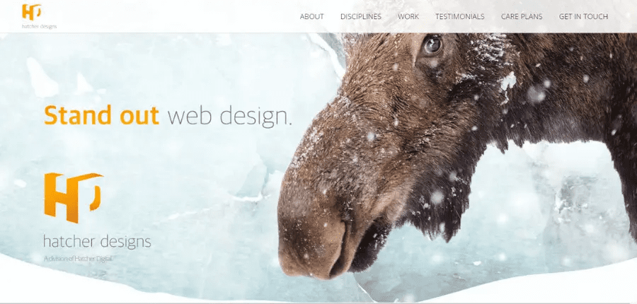 Web Design Companies in Alaska