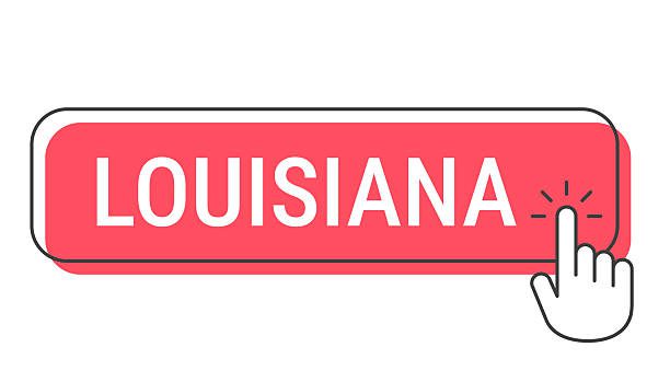 seo companies in louisiana